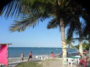 Cabure - Bar Tropical