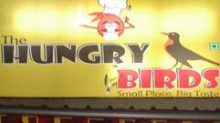 The hungry birds