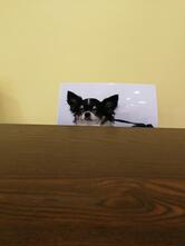 Pizzeria La Rotonda 5