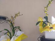 Rosa Moca Rotisserie e Sobremesas