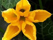 Restaurante e Churrascaria Bell Fatto