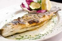 Restoran & Catering “Kod Ivane”