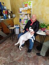 Bar Sud di Martorano Antonino