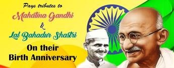 Italiano Pizza :- An Italian Cuisine Restaurant