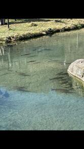 Campeggio Alta Valdenza