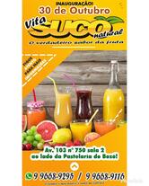 Vita Suco Natural