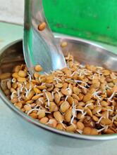 திருவள்ளுவர் இயற்கை உணவகம்