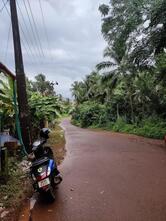 Hotel Royal - Homely Food