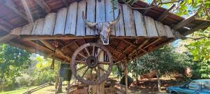 Restaurante fazendinha tradição