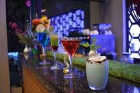 The Dog Villa Café BEST PET FRIENDLY CAFE BEST PARTY PLACE BEST CAFE IN SILIGURI