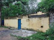 Aunty Dosa Rohraband