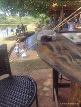 Pesque e Pague do Temir