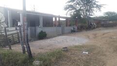 Bar de Fia ( Rua 10)