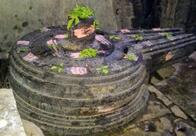 Nawaj.s Tom Tom ape Stop