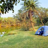 Roots The Jungle Cafe and Resort