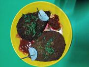 Adda - Cafe & Restaurant