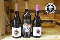Enoteca del Vicolo Arbus