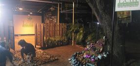 Bay leaf the kitchen