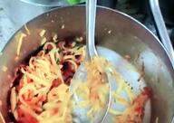 Jay Somnath Dal Puri