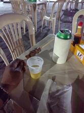 Espetinho do Alemão