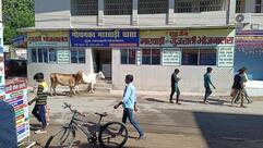 Goenka Marvardi Basa