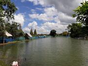 บ่อตกปลา ลุงพลอย&Fishing บ้านไผ่น้อย