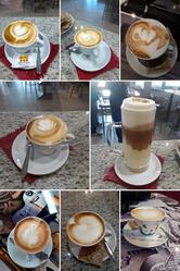 Bar Gatto Rosso
