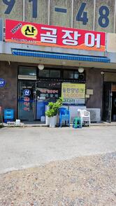 산꼼장어