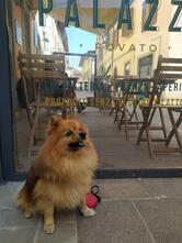 Caffè Palazzo Rovato