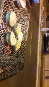 Ki-Delícias Do Gordinho