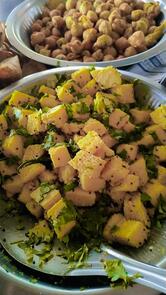 Kaila Devi Nasta House