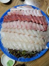 싱싱세꼬시회