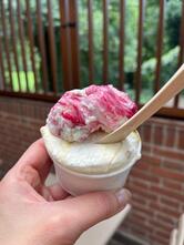 L'iseo Gelateria