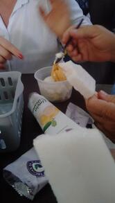 Trilhas da Amazônia