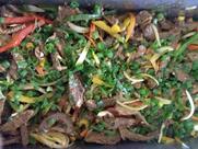 Churrascaria e Restaurante Cristal