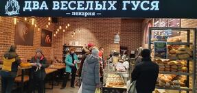 Два весёлых гуся