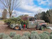 Erin Hill Acres Tourism Farm. The next event is EGGSTRAVAGANZA, Easter 2025.