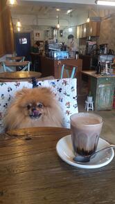 whyden coffee seongsu