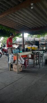 Espetinho da avenida