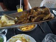 O Cupim Tangara da Serra