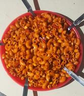 Shree Brahamani Pizza & Fast Food