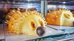 Pâtisserie Jeanpierre Beaufays