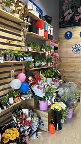 FlowerAura - Florist & Cake Shop in Sonipat