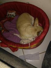 Bar e Mercearia 3 Meninas