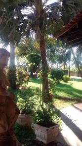 Priscila Santana Pizzaria