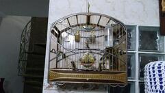 Mirna Helena Plentz da Silva