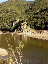 Bar Firenze - Lai Antonio & C. S.A.S.