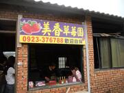 美香高架草莓園