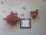 Panetteria Pomi Di Pomi Simona