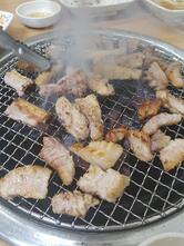 낙지그리고황금오리